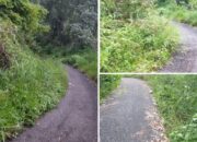 Warga Desa Sungai Ning Keluhkan Akses Jalan Aspal Sudah Tertutup Rumput
