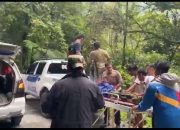 Mobil Carry Pick Up Masuk Jurang Sedalam 25M Jalan Tapan – Sungai Penuh, 2 Orang Meninggal