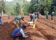 Giat Ketahanan Pangan, Satgas TMMD Kodim Kerinci Gelar Penamanan Terong Bersama Warga