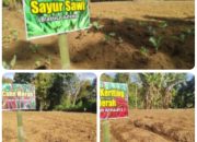 Satgas TMMD ke-126 Dukung Ketahanan Pangan Warga Sungai Jernih