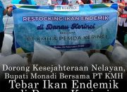 Bupati Monadi dan PT KMH Tebar Ikan Endemik untuk Kelestarian Danau Kerinci