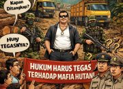 Dugaan Ilegal Logging Terorganisir di Muara Jambi–Bayung Lencir, Libatkan Oknum Aparat?