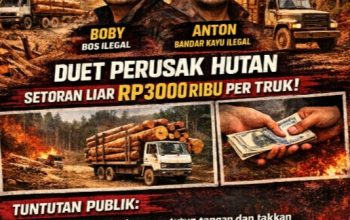 Ilegal Logging Menggila di Muara Jambi–Bayung Lencir, Aparat Didesak Usut Nama Boby–Anton