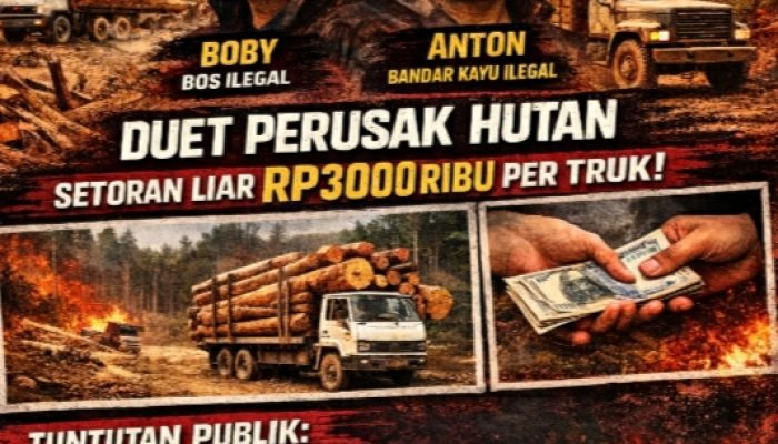 Ilegal Logging Menggila di Muara Jambi–Bayung Lencir, Aparat Didesak Usut Nama Boby–Anton
