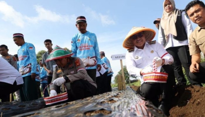 Wako Alfin Hadiri Gerakan Penanaman Serentak Percepatan Swasembada Bawang Putih Nasional