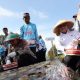 Wako Alfin Hadiri Gerakan Penanaman Serentak Percepatan Swasembada Bawang Putih Nasional